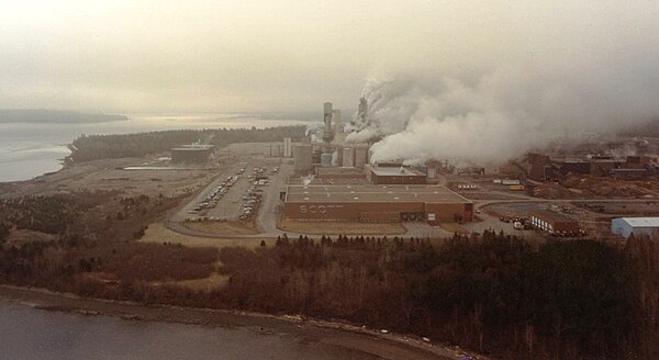 The former Pictou County pulp mill employed roughly 300 employees directly, with hundreds more indirect jobs in related industries.