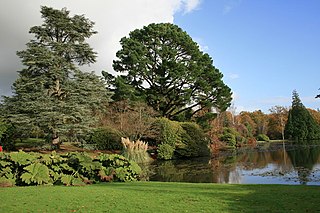 Sheffield Park Garden in East Sussex