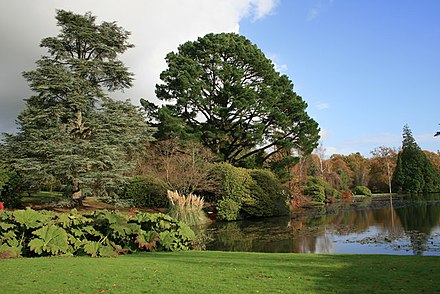 Sheffield Park Garden, a landscape garden originally laid out in the 18th century by Capability Brown