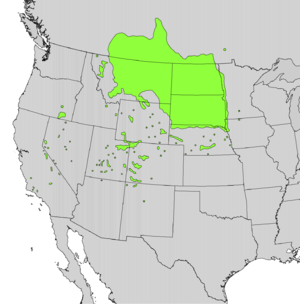 Shepherdia argentea range map.png