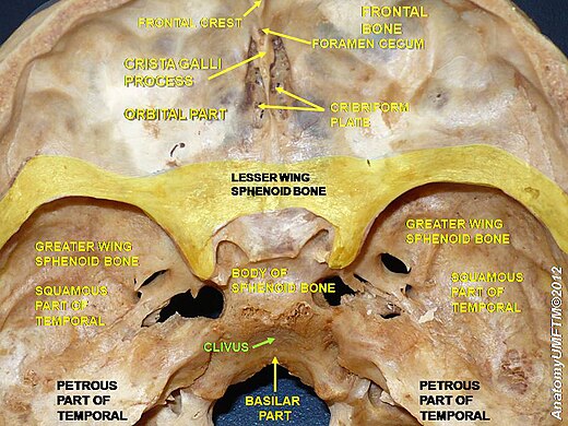 Clivus