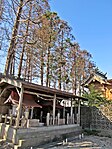 川口神社境内社と本殿 津波による塩害により、鎮守の森のほとんどが枯れている