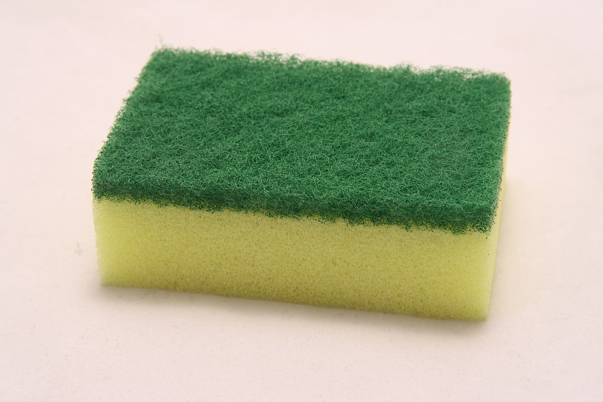 File:Clean sponge.jpg - Wikimedia Commons