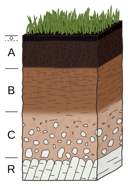 Soil Wikiwand