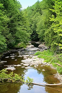 South Branch Tunkhannock Creek