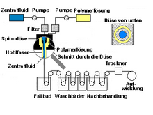 skizze vom schnitt durch eine biomembran