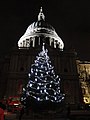 The Christmas tree, outside St Paul's Cathedral, City of London (borough), London, in December 2011.