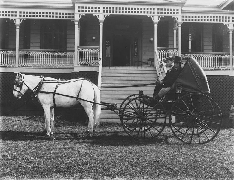 File:StateLibQld 1 116920 Entrance to the residence, Windermere in the Brisbane suburb of Hamilton, ca. 1890.jpg