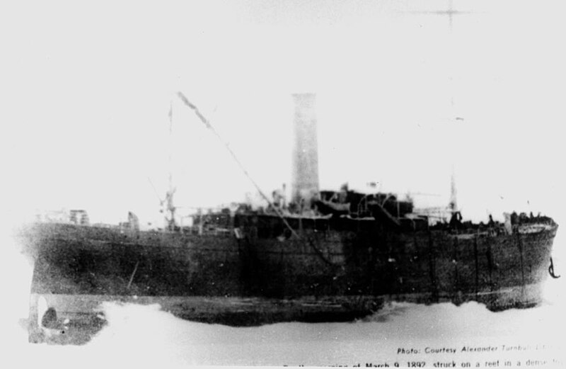 File:StateLibQld 1 149279 Elginshire (ship).jpg