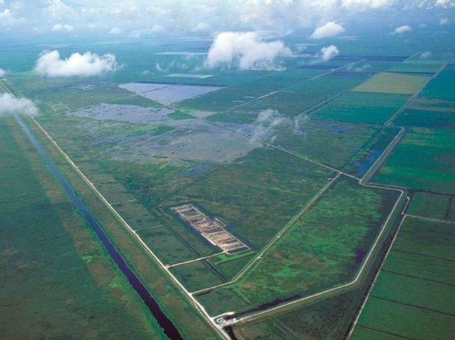Aerial view of stormwater treatment areas in the northern Everglades bordered by sugarcane fields on the right