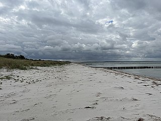 Strand im Nationalpark Vorpommersche Boddenlandschaft