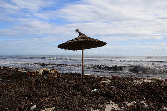 Strand in Tunesien nach einem Sturm TUNISIMG 2644WI