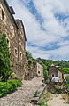 * Nomination: Street in Belcastel, Aveyron, France. --Tournasol7 07:08, 8 October 2017 (UTC) Good but there is a bit of purple CA (top left) Poco a poco 10:30, 8 October 2017 (UTC) * * Review needed