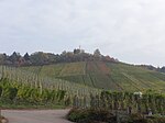 Weinwanderweg Obertürkheim – Uhlbach – Rotenberg – Untertürkheim