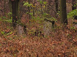 Szczebrzeszyn, ul. Cmentarna, cmentarz żydowski (ID 608007) 06.jpg