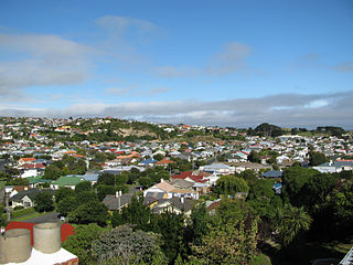 <span class="mw-page-title-main">Tainui, New Zealand</span> Suburb in Dunedin, New Zealand