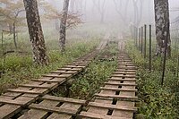 天王寺尾根の木道