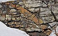 * Nomination Limestones of the Tetreauville Formation, intruded by a ~125 Ma dike, outcropping at the base of Mount Royal, Montreal. --The Cosmonaut 03:16, 25 December 2019 (UTC) * Promotion Good quality. -- Johann Jaritz 03:58, 25 December 2019 (UTC)