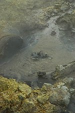 Mud pool, Tikitere (Hell's Gate), Rotorua.