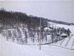 Tolisavac-pogled na del naselja