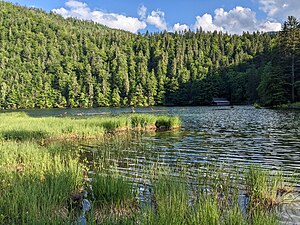 Toplitzsee: Geographie, Hydrologie, Geologie