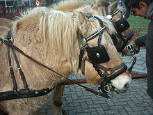 Reins attached to the rings or shanks of a bit Twee-paarden.JPG