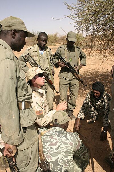 File:US Special forces discusses tactics with Malian soldiers.jpg