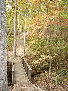 William B. Umstead State Park State park in North Carolina, United States