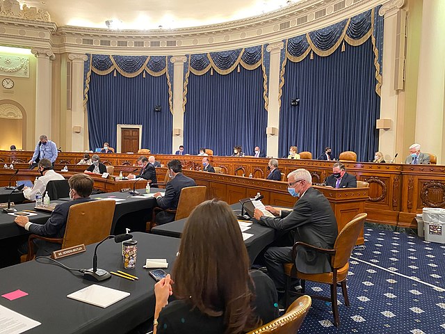 A committee meeting in July 2020