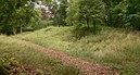 Franconian fort