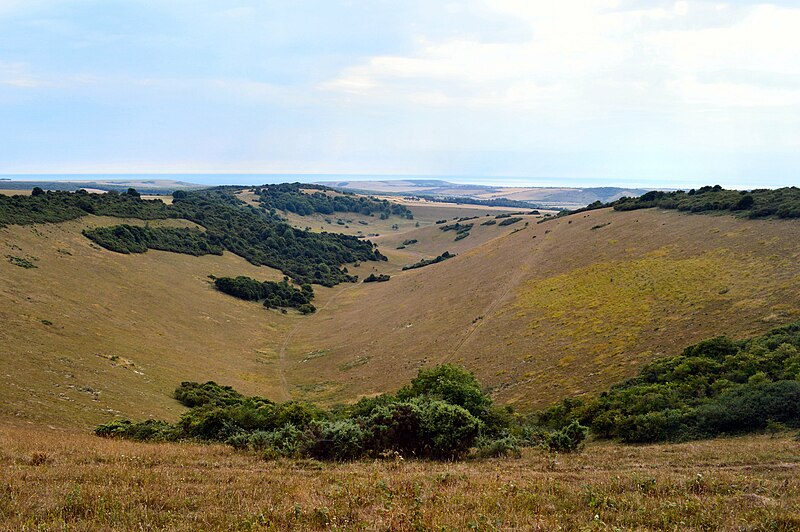 File:View from Windover Hill.jpg