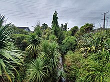 The Waikumete Stream