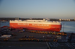 Wallenius-willemsen-thalatta.JPG