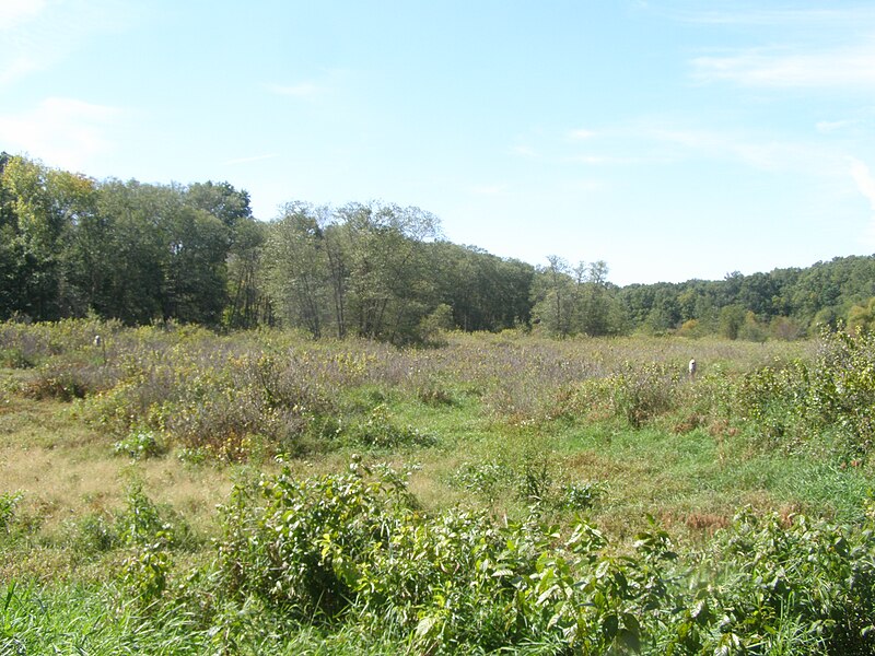 File:Waterfowl refuge P9190061.jpg