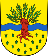 Wappen von Widnau