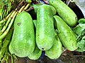 Winter melon of Bangladesh.jpg