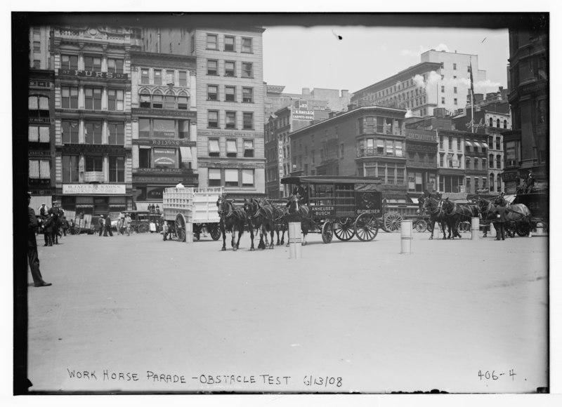 File:Work Horse Parade, (showing Anheuser Busch team), obstacle test, (New York) LCCN2014681911.tif