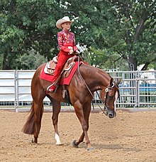 A western equitation rider Youth Western riding.jpg