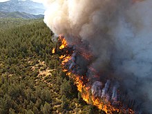 Active flame front of the Zaca Fire, 2007, at the time the second-largest fire on record in California Zaca1.jpg
