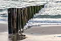 * Nomination Groynes at the beach, Zoutelande, Zeeland, Netherlands --XRay 04:29, 9 January 2023 (UTC) * Promotion  Support Good quality. --Rjcastillo 04:48, 9 January 2023 (UTC)