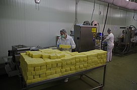 Производња качкаваља у Млекара „Осогово Милк“