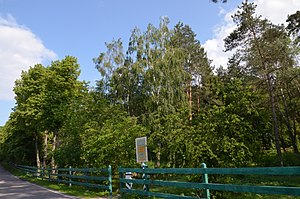 Парк-пам'ятка садово-паркового мистецтва «Жорнівський»