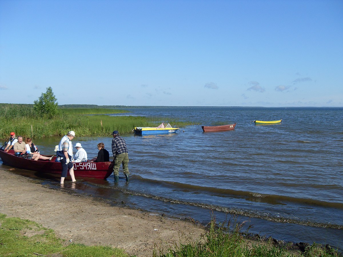 Плещеево озеро сельдь