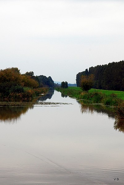 File:Речка Зала. Фото Виктора Белоусова. - panoramio (2).jpg