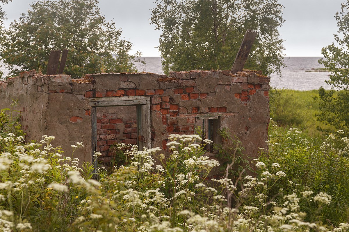 Пирогов александр михайлович серая лошадь