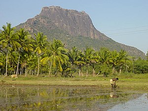 குறிஞ்சியும் மருதமும். JPG