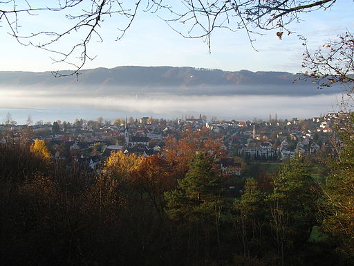 05 BoLu im Nebel 11.06