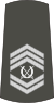 08-Serbian Army-WO1.svg