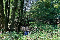 20110924 Ernstbachtal2.JPG