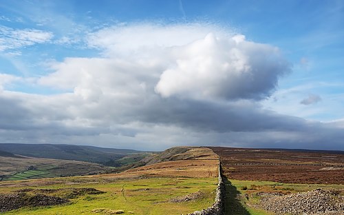 Drystone wall along Fremington Edge above Arkengarthdale